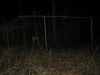 Chicago Ghost Hunters Group investigates Bachelors Grove (41).JPG